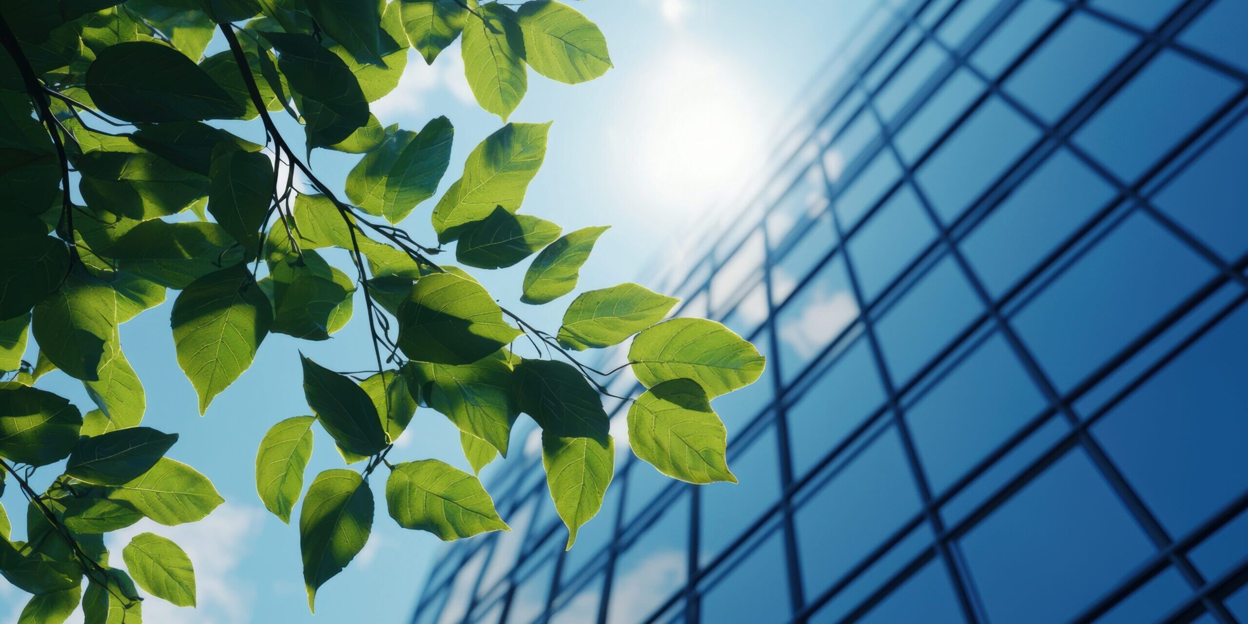 Creating,Awareness,Of,Nature,Through,Effective,Esg,Reporting,Strategies.