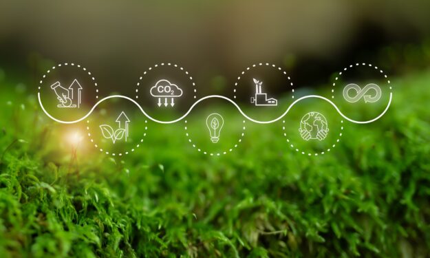 Climate,Finance,And,Green,Investment,Concept.,Eco-friendly,Finance,Icons,On